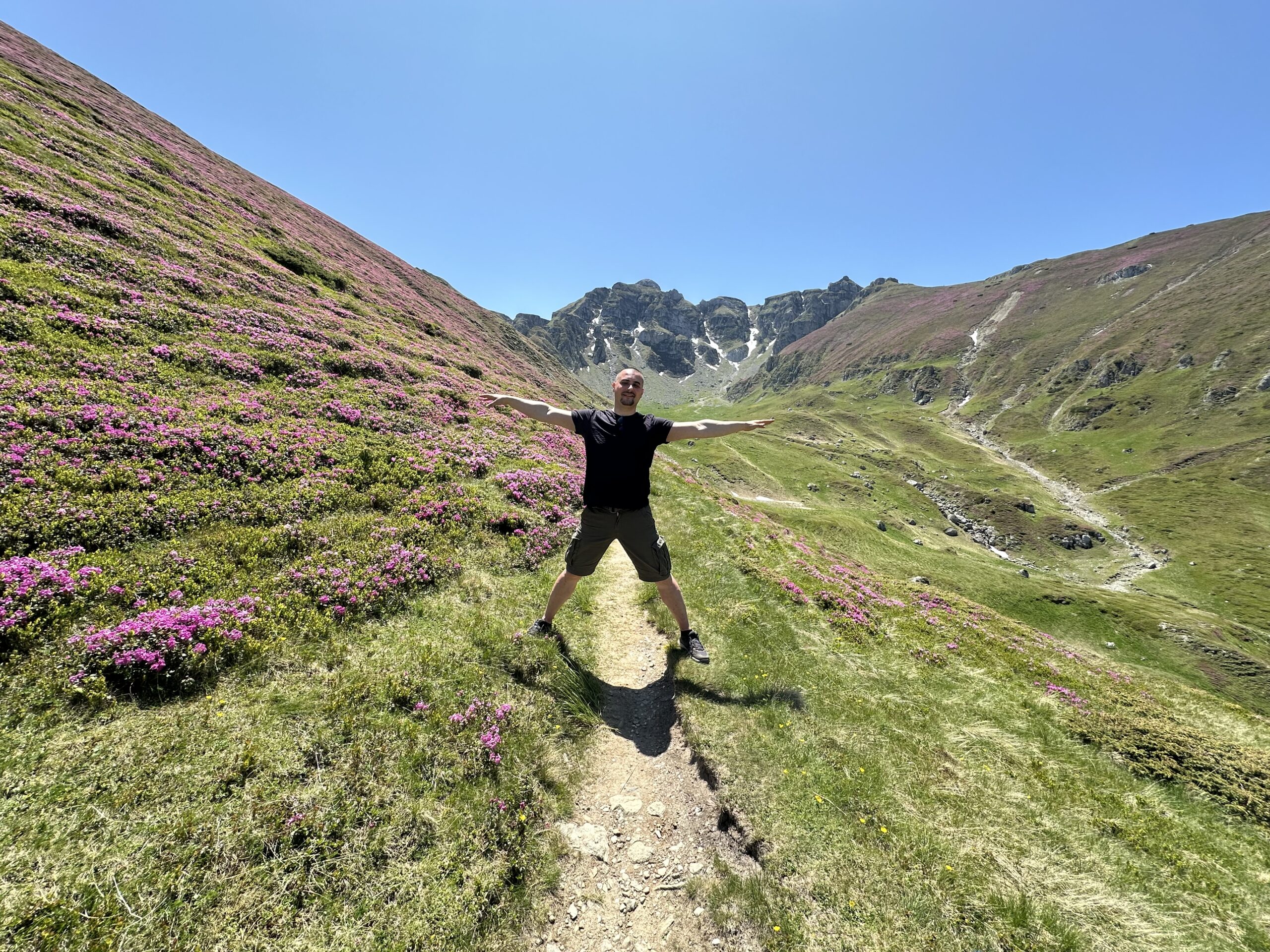 Libertatea lucrurilor bine facute