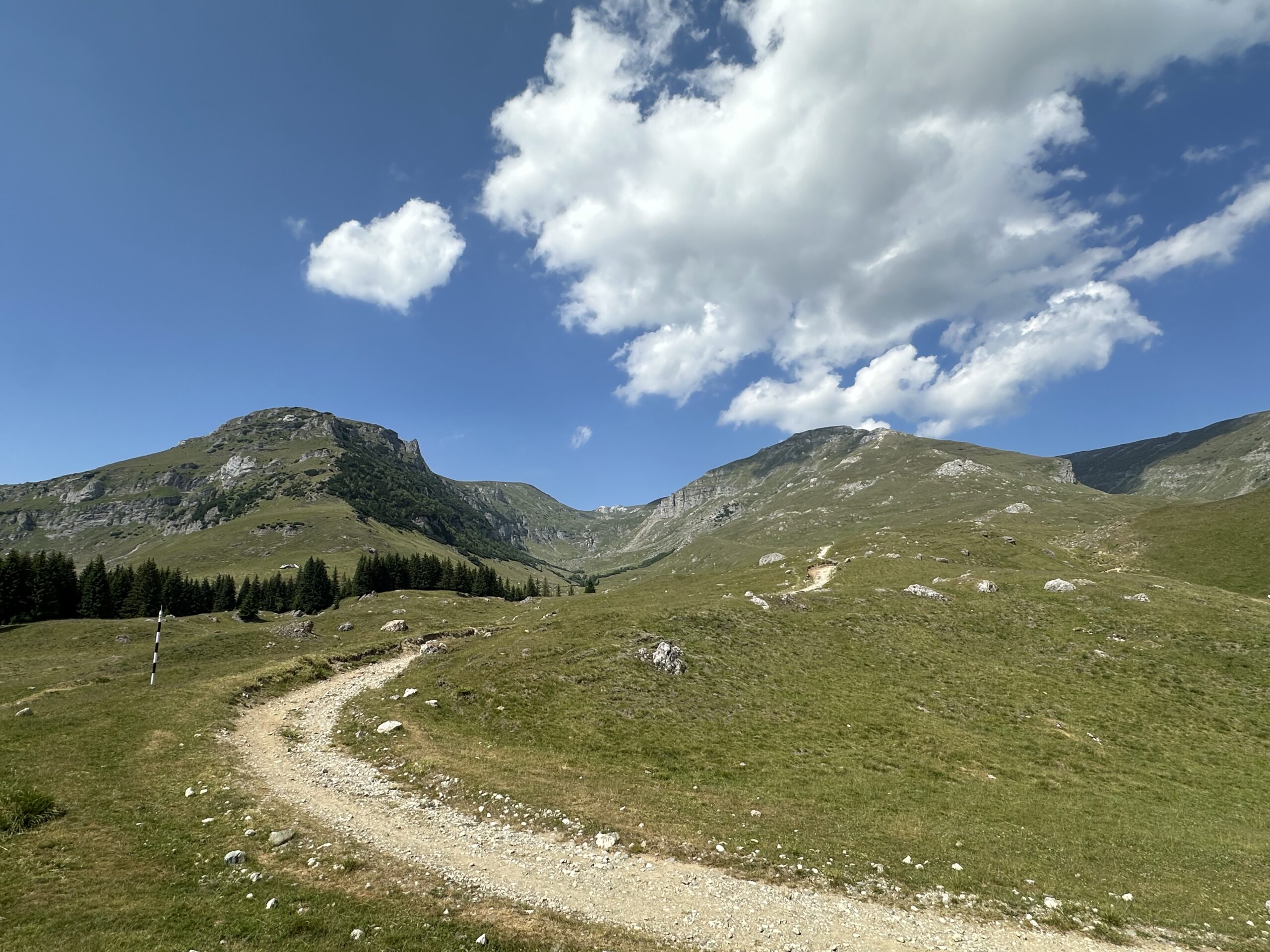 Fiecare drum este o noua aventura